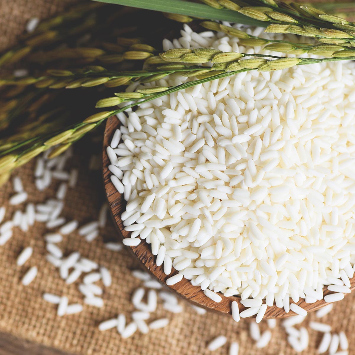 Celestial Dragon Thai Hom Mali Rice