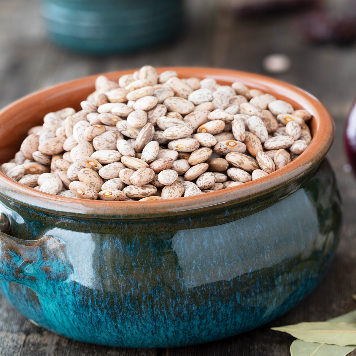 Essence Pre-Washed Pinto Beans