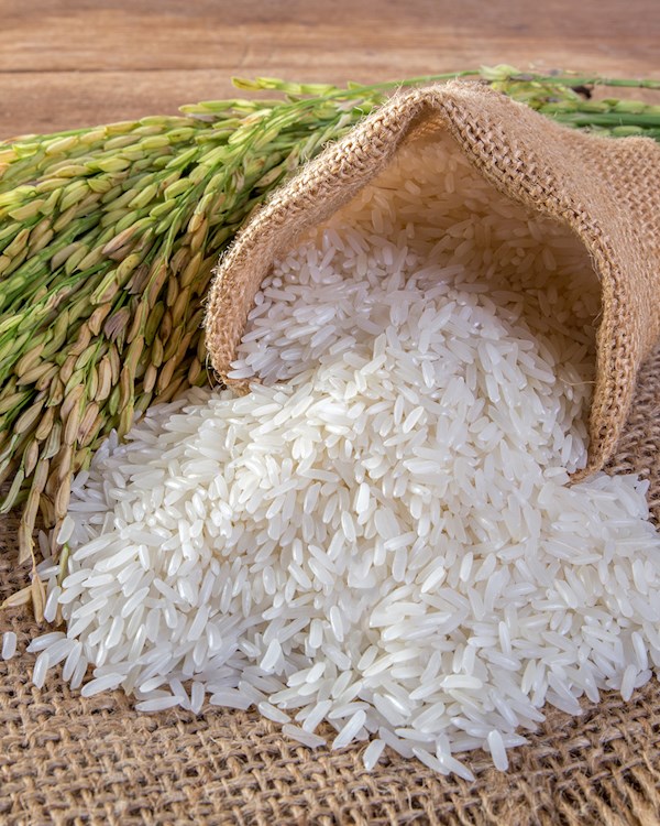 Celestial Dragon Thai Jasmin Rice
